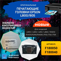 F180040 Печатающая головка для Epson L800 L805 RX610 R290 P50 F180040/F180050 - фото 4701